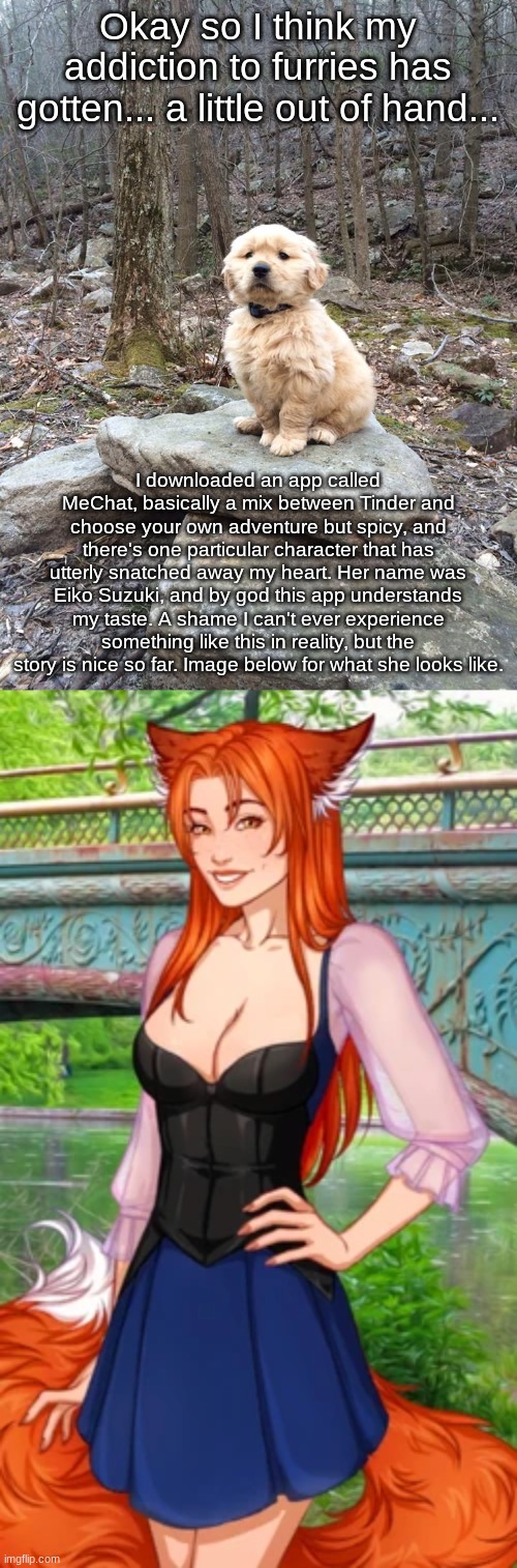 This is my guilty pleasure. We all have one. | Okay so I think my addiction to furries has gotten... a little out of hand... I downloaded an app called MeChat, basically a mix between Tinder and choose your own adventure but spicy, and there's one particular character that has utterly snatched away my heart. Her name was Eiko Suzuki, and by god this app understands my taste. A shame I can't ever experience something like this in reality, but the story is nice so far. Image below for what she looks like. | image tagged in majestic golden retriever | made w/ Imgflip meme maker