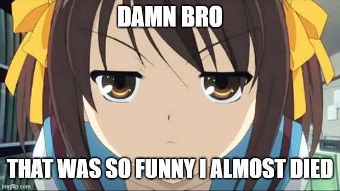 Haruhi stare | DAMN BRO THAT WAS SO FUNNY I ALMOST DIED | image tagged in haruhi stare | made w/ Imgflip meme maker