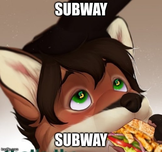 Subway | SUBWAY; SUBWAY | image tagged in subway | made w/ Imgflip meme maker