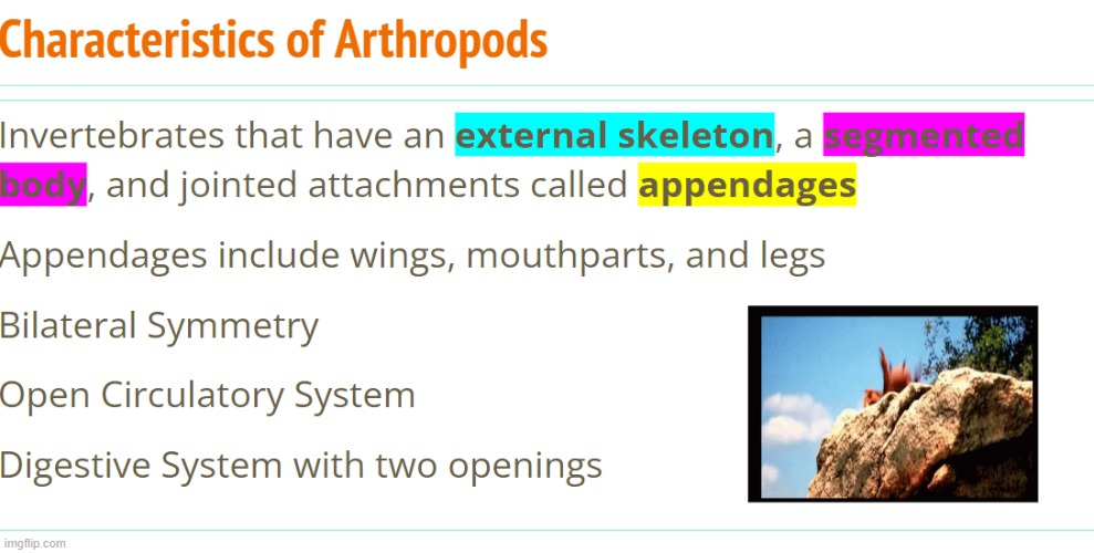 my science teacher put crab rave in the lecture slides. | made w/ Imgflip meme maker