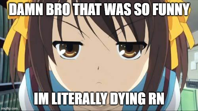 Haruhi stare | DAMN BRO THAT WAS SO FUNNY; IM LITERALLY DYING RN | image tagged in haruhi stare | made w/ Imgflip meme maker