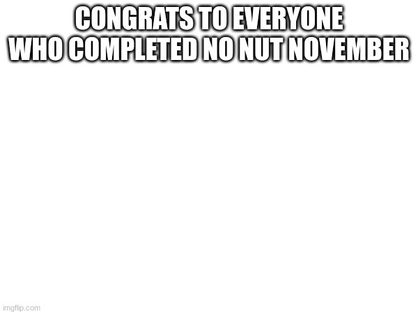CONGRATS TO EVERYONE WHO COMPLETED NO NUT NOVEMBER | image tagged in no nut november | made w/ Imgflip meme maker