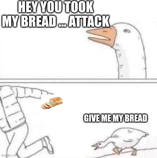 Goose Chase | HEY YOU TOOK MY BREAD ... ATTACK; GIVE ME MY BREAD | image tagged in goose chase | made w/ Imgflip meme maker