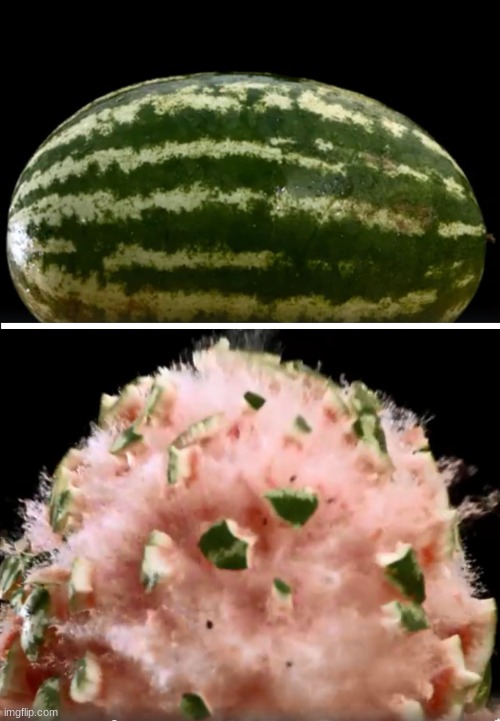 Exploding Watermelon | image tagged in exploding watermelon | made w/ Imgflip meme maker