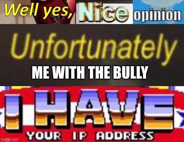 Well yes, nice opinion. Unfortunately I have your IP address | ME WITH THE BULLY | image tagged in well yes nice opinion unfortunately i have your ip address | made w/ Imgflip meme maker