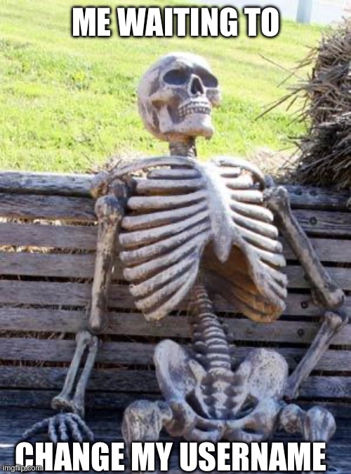 Idk when I can :/ | ME WAITING TO; CHANGE MY USERNAME | image tagged in memes,waiting skeleton | made w/ Imgflip meme maker