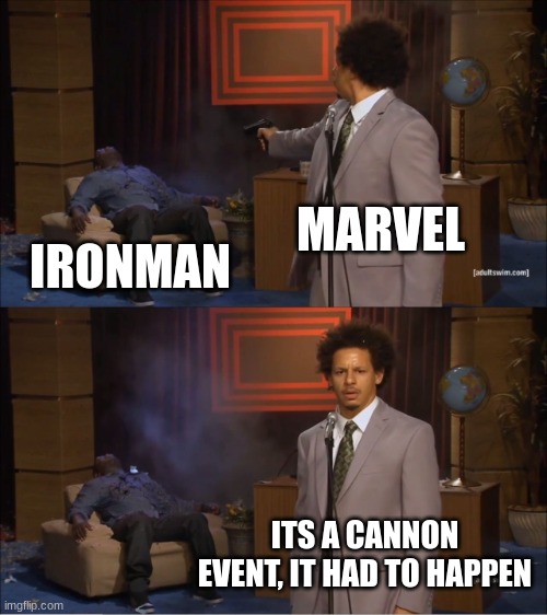 no | MARVEL; IRONMAN; ITS A CANNON EVENT, IT HAD TO HAPPEN | image tagged in memes,who killed hannibal | made w/ Imgflip meme maker