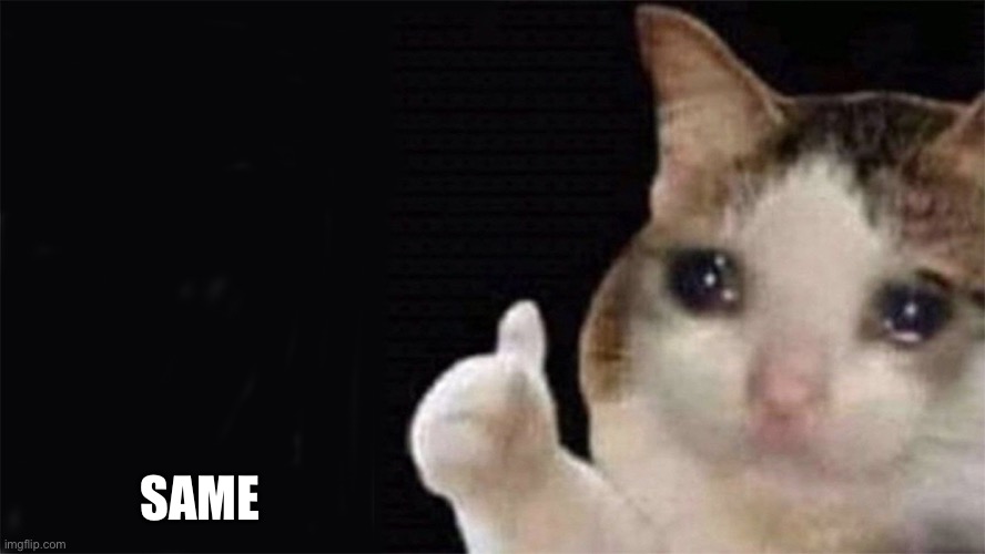 Thumbs up crying cat | SAME | image tagged in thumbs up crying cat | made w/ Imgflip meme maker