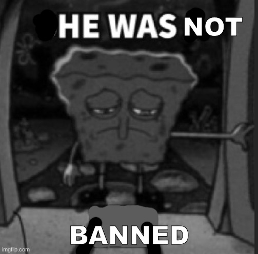 She was a he | NOT BANNED | image tagged in she was a he | made w/ Imgflip meme maker