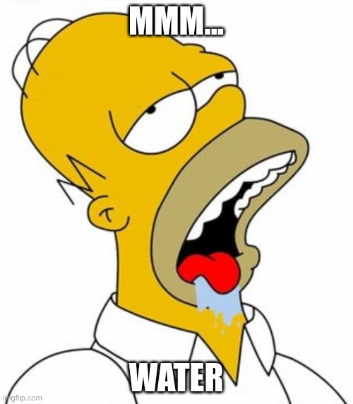 Homer Simpson MMM | MMM... WATER | image tagged in homer simpson mmm | made w/ Imgflip meme maker