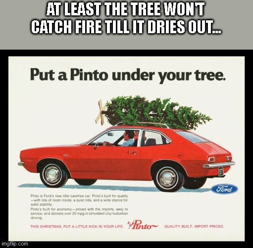 AT LEAST THE TREE WON'T CATCH FIRE TILL IT DRIES OUT... | image tagged in funny | made w/ Imgflip meme maker