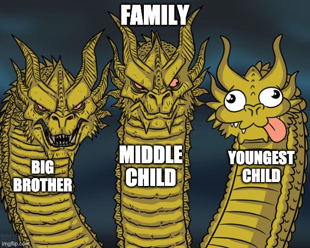 Three-headed Dragon | FAMILY; MIDDLE CHILD; YOUNGEST CHILD; BIG BROTHER | image tagged in three-headed dragon | made w/ Imgflip meme maker