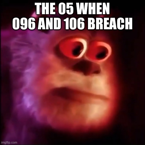 ? | THE 05 WHEN 096 AND 106 BREACH | image tagged in monster inc | made w/ Imgflip meme maker