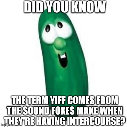 larry the cucumber did you know | DID YOU KNOW; THE TERM YIFF COMES FROM THE SOUND FOXES MAKE WHEN THEY'RE HAVING INTERCOURSE? | image tagged in larry the cucumber did you know | made w/ Imgflip meme maker