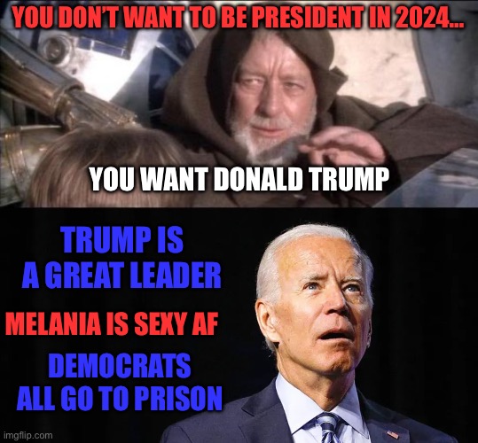 YOU DON’T WANT TO BE PRESIDENT IN 2024…; YOU WANT DONALD TRUMP; TRUMP IS A GREAT LEADER; MELANIA IS SEXY AF; DEMOCRATS ALL GO TO PRISON | image tagged in these aren't the droids you were looking for,joe biden,stupid liberals,donald trump,maga,republicans | made w/ Imgflip meme maker