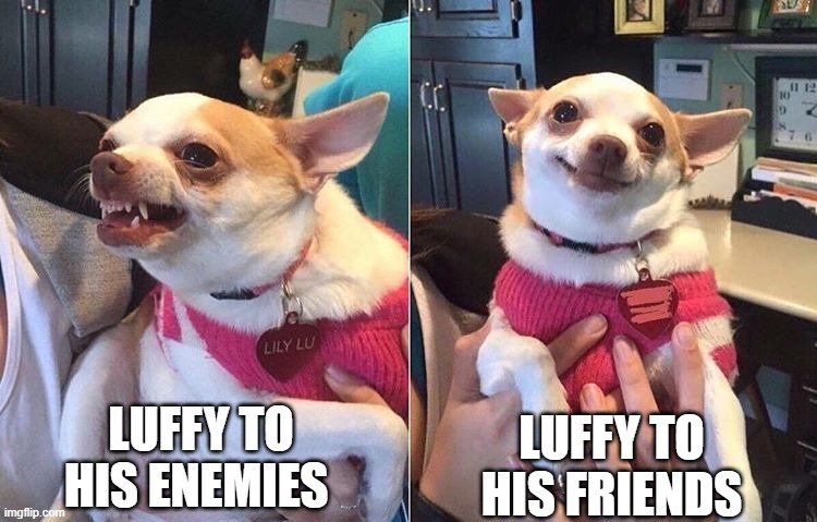angry dog meme | LUFFY TO HIS ENEMIES; LUFFY TO HIS FRIENDS | image tagged in angry dog meme | made w/ Imgflip meme maker