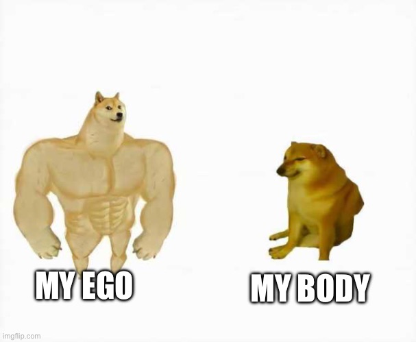 Strong dog vs weak dog | MY EGO; MY BODY | image tagged in strong dog vs weak dog | made w/ Imgflip meme maker