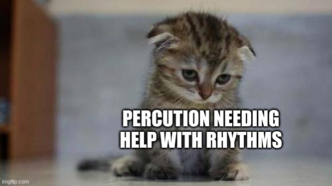 Sad kitten | PERCUTION NEEDING HELP WITH RHYTHMS | image tagged in sad kitten | made w/ Imgflip meme maker
