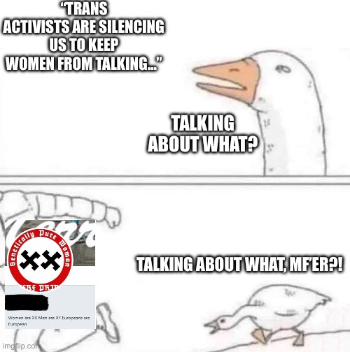 HONK. | “TRANS ACTIVISTS ARE SILENCING US TO KEEP WOMEN FROM TALKING…”; TALKING ABOUT WHAT? TALKING ABOUT WHAT, MF’ER?! | image tagged in goose chase,transgender | made w/ Imgflip meme maker