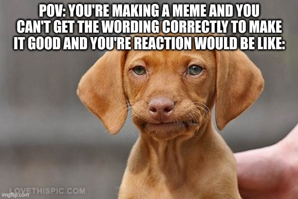 This happened to me just then... | POV: YOU'RE MAKING A MEME AND YOU CAN'T GET THE WORDING CORRECTLY TO MAKE IT GOOD AND YOU'RE REACTION WOULD BE LIKE: | image tagged in umm dog,relatable memes,so true memes,fresh memes | made w/ Imgflip meme maker