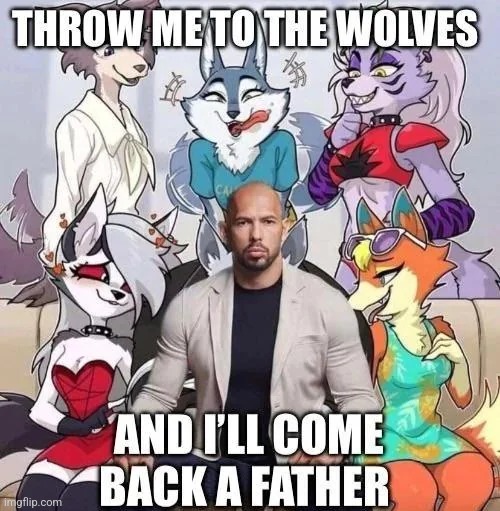 @SinofTreachery @fluffy_gjyg15 | made w/ Imgflip meme maker