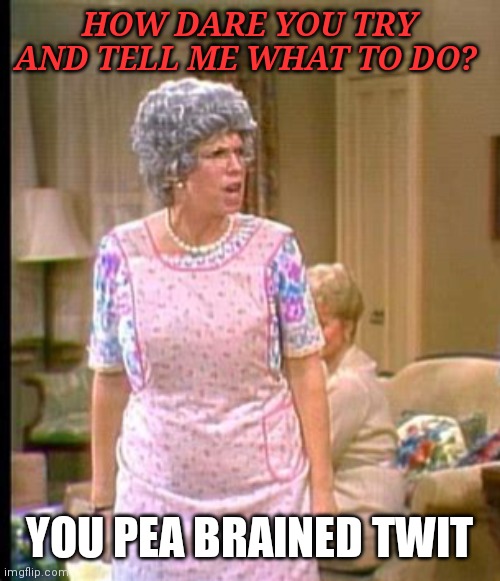 Pea brained twit | HOW DARE YOU TRY AND TELL ME WHAT TO DO? YOU PEA BRAINED TWIT | image tagged in thelma harper,funny memes | made w/ Imgflip meme maker