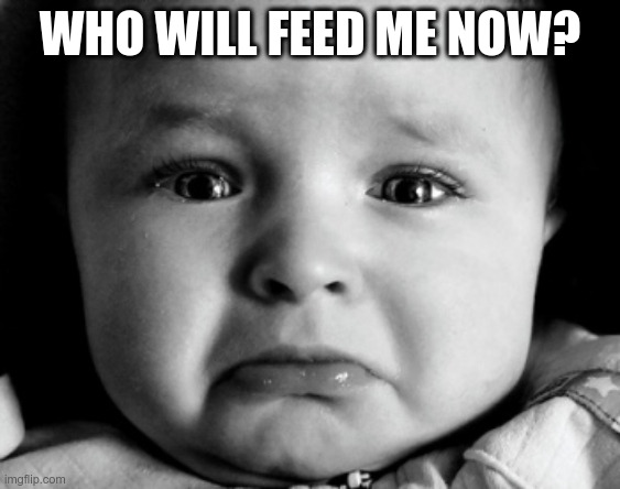Sad Baby Meme | WHO WILL FEED ME NOW? | image tagged in memes,sad baby | made w/ Imgflip meme maker