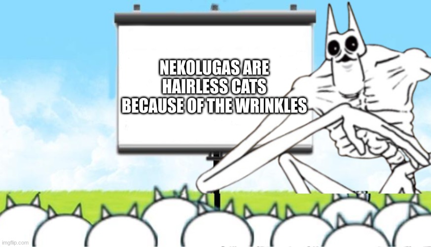 nekoluga=sphynx cat | NEKOLUGAS ARE HAIRLESS CATS BECAUSE OF THE WRINKLES | image tagged in nekoluga protest | made w/ Imgflip meme maker