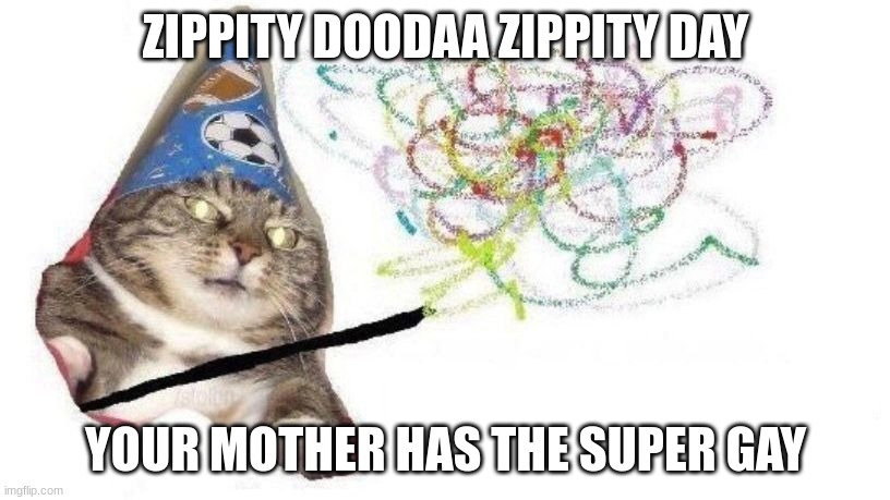 Wizard Cat | ZIPPITY DOODAA ZIPPITY DAY YOUR MOTHER HAS THE SUPER GAY | image tagged in wizard cat | made w/ Imgflip meme maker