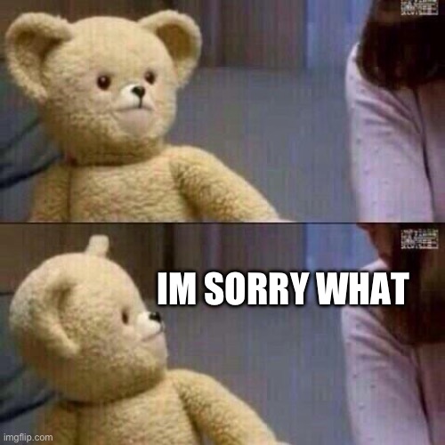 snuggle bear | IM SORRY WHAT | image tagged in snuggle bear | made w/ Imgflip meme maker