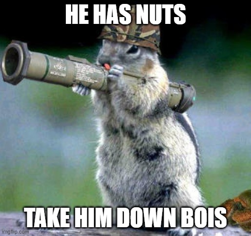HE HAS NUTS! | HE HAS NUTS; TAKE HIM DOWN BOIS | image tagged in memes,bazooka squirrel,nuts | made w/ Imgflip meme maker