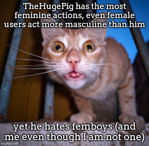 goofy ass cat | TheHugePig has the most feminine actions, even female users act more masculine than him; yet he hates femboys (and me even though I am not one) | image tagged in goofy ass cat | made w/ Imgflip meme maker