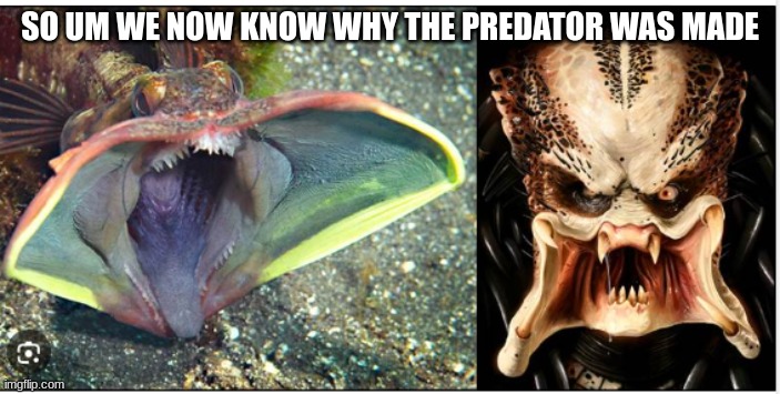 SO UM WE NOW KNOW WHY THE PREDATOR WAS MADE | image tagged in bruh moment | made w/ Imgflip meme maker