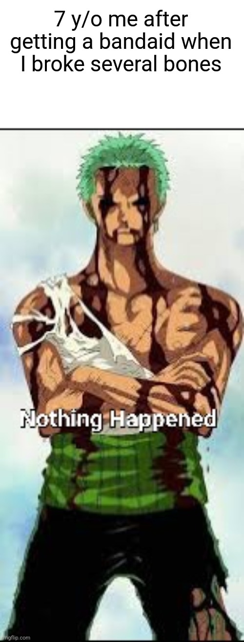 I'm totally fine mom! I don't need to go to the hospital! | 7 y/o me after getting a bandaid when I broke several bones | image tagged in memes,nothing to see here,zoro | made w/ Imgflip meme maker