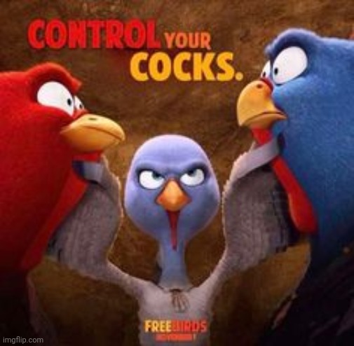 control your cocks | image tagged in control your cocks | made w/ Imgflip meme maker