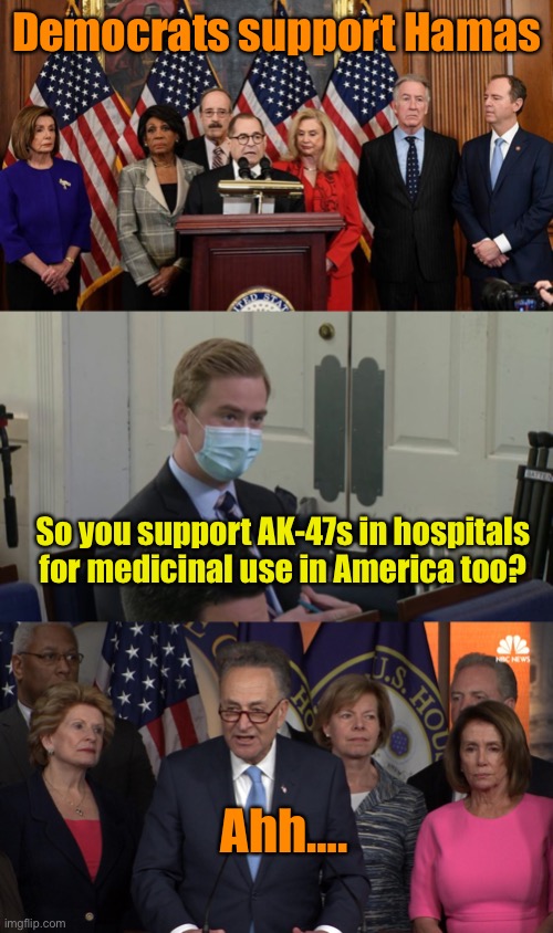 Democrats support Hamas So you support AK-47s in hospitals for medicinal use in America too? Ahh…. | image tagged in house democrats,reporter peter doocy,democrat congressmen | made w/ Imgflip meme maker