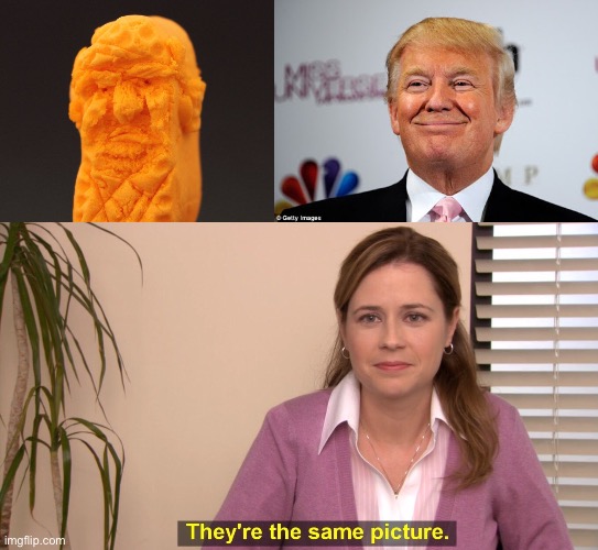 image tagged in trump cheeto,donald trump approves,memes,they're the same picture | made w/ Imgflip meme maker