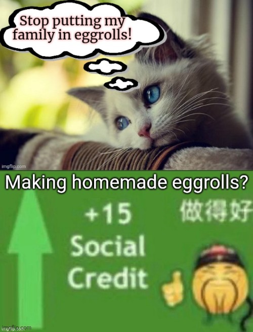 Free social credit | image tagged in social credit,nom nom nom,eggrolls | made w/ Imgflip meme maker