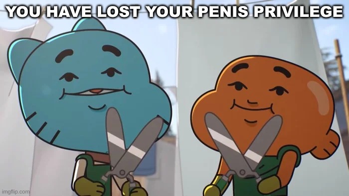 lost privileges | YOU HAVE LOST YOUR PENIS PRIVILEGE | image tagged in lost privileges | made w/ Imgflip meme maker