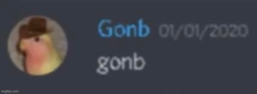 Gonb pfp | image tagged in gonb pfp | made w/ Imgflip meme maker
