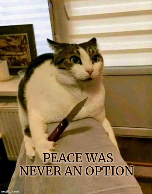 Cat With Knife | PEACE WAS NEVER AN OPTION | image tagged in cat with knife | made w/ Imgflip meme maker