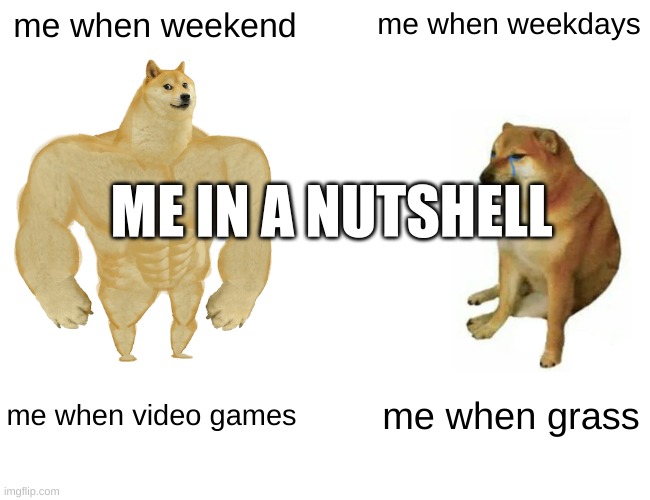 me when | me when weekend; me when weekdays; ME IN A NUTSHELL; me when video games; me when grass | image tagged in memes,buff doge vs cheems,school hate | made w/ Imgflip meme maker