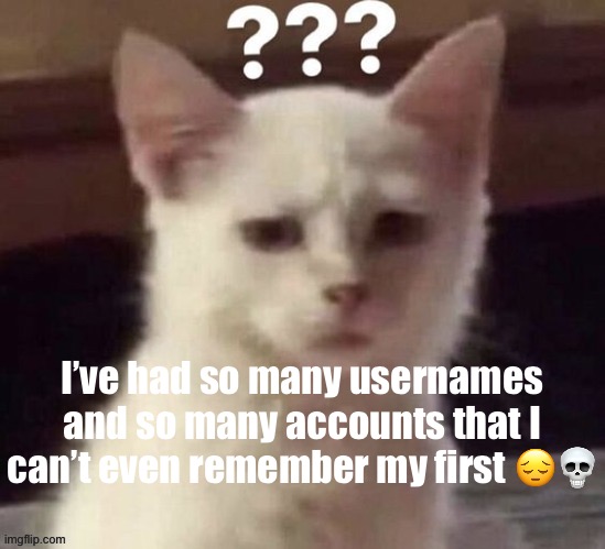 ? | I’ve had so many usernames and so many accounts that I can’t even remember my first 😔💀 | made w/ Imgflip meme maker