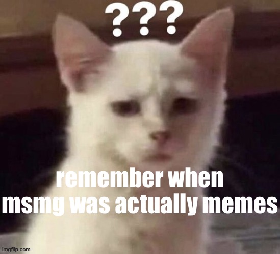 ? | remember when msmg was actually memes | made w/ Imgflip meme maker