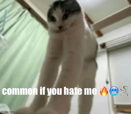 long gato | commen if you hate me 🔥🥶🤺 | image tagged in long gato | made w/ Imgflip meme maker