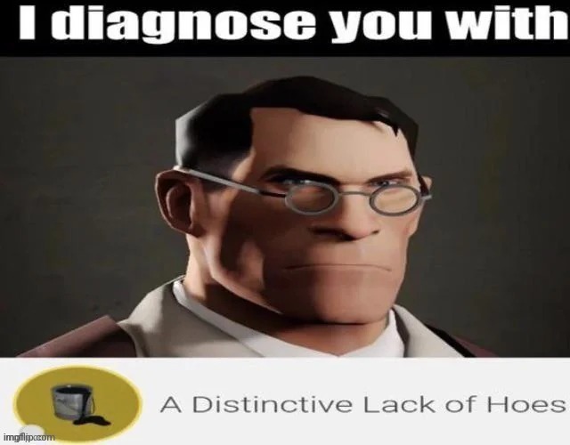 lack of hoes | image tagged in lack of hoes | made w/ Imgflip meme maker
