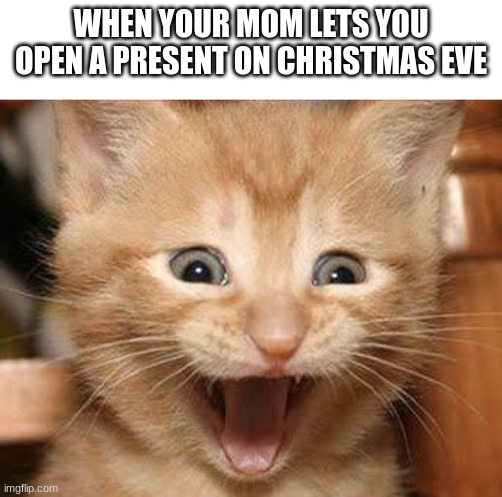Best feeling in existence | WHEN YOUR MOM LETS YOU OPEN A PRESENT ON CHRISTMAS EVE | image tagged in memes,excited cat | made w/ Imgflip meme maker