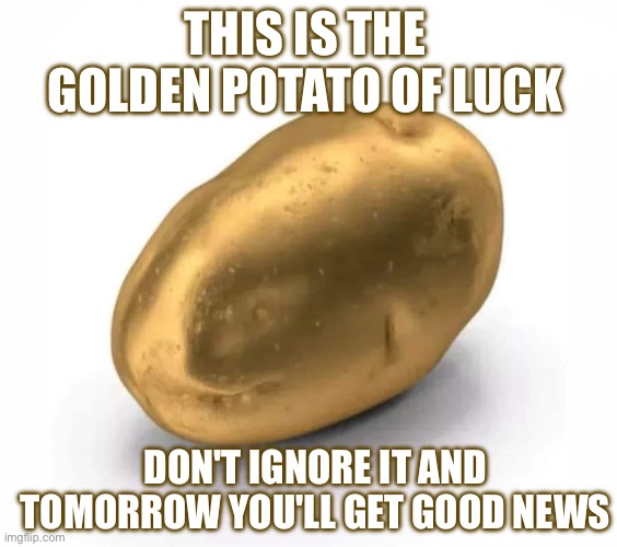 Luck | THIS IS THE GOLDEN POTATO OF LUCK; DON'T IGNORE IT AND TOMORROW YOU'LL GET GOOD NEWS | image tagged in lucky | made w/ Imgflip meme maker