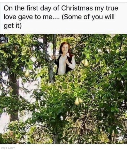 lol | image tagged in funny,meme,partridge in a pear tree | made w/ Imgflip meme maker