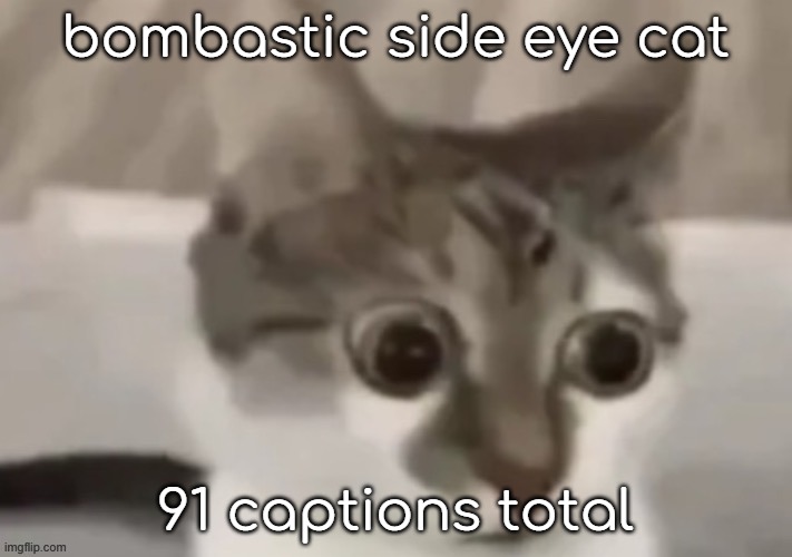 trying to revive the stream | bombastic side eye cat; 91 captions total | made w/ Imgflip meme maker